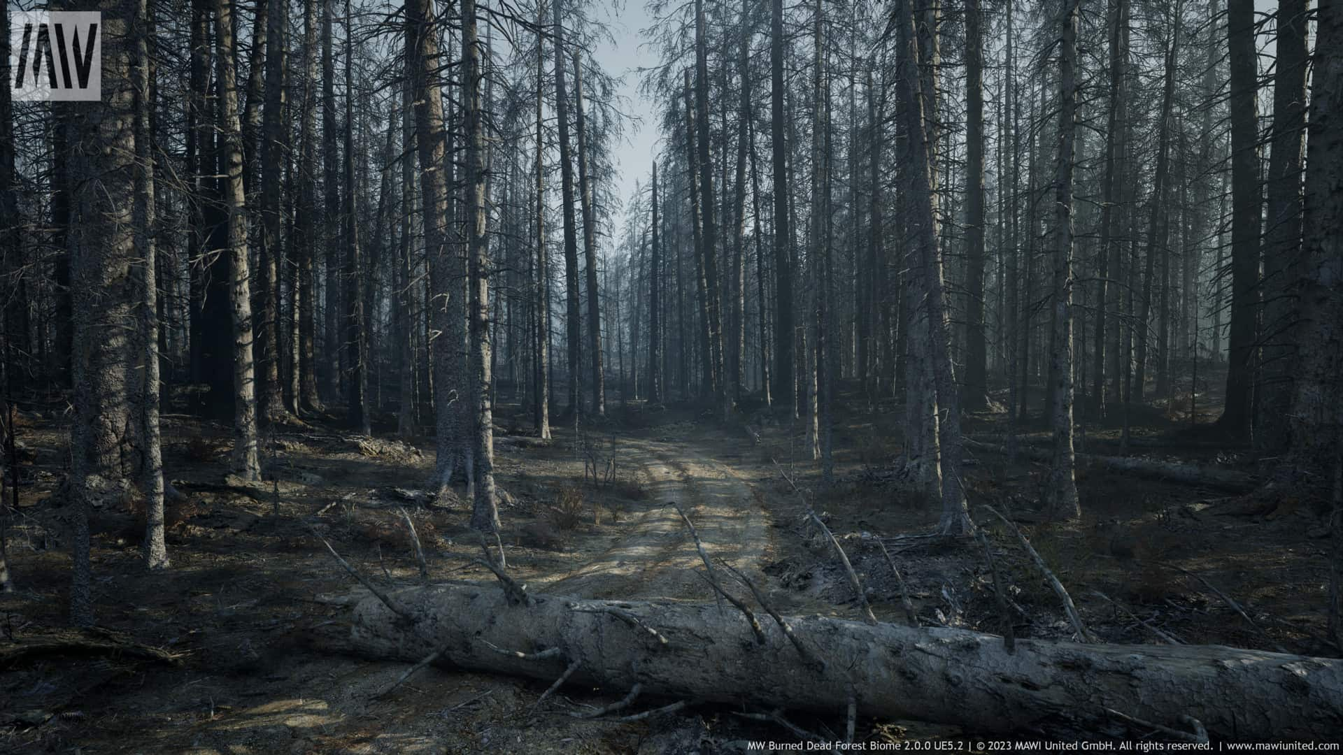 山火枯树森林-MW Burned Dead Trees Forest Biome