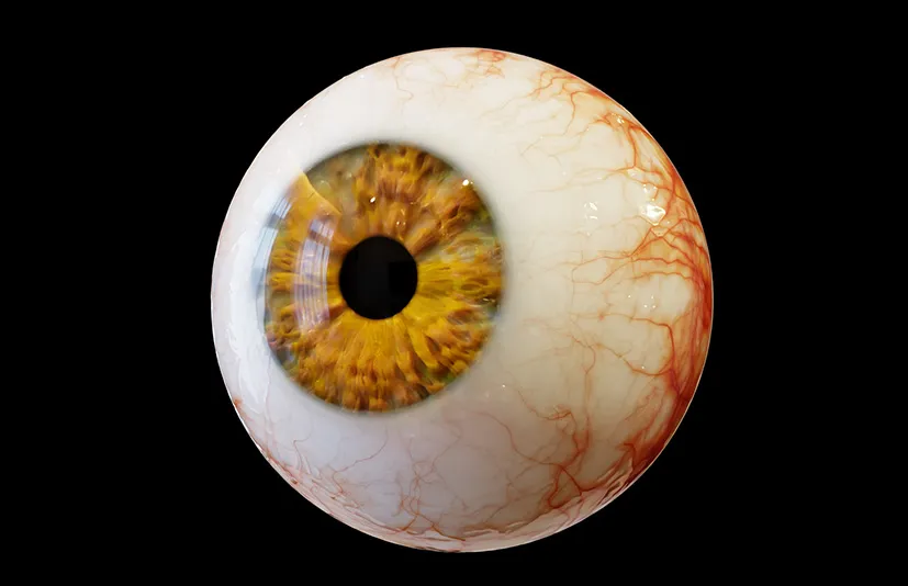 Blender写实眼球生成器 – Photorealistic Eye Generator