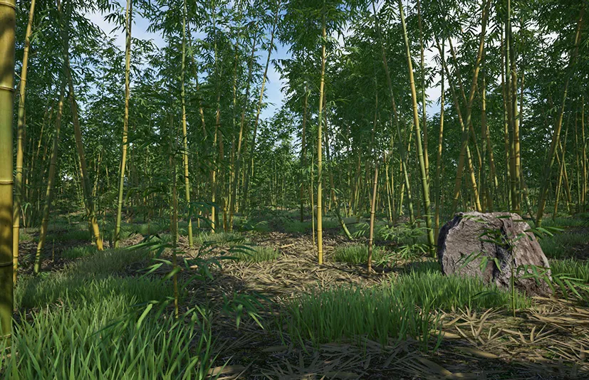 竹类植物包 – Bamboo Plants Pack